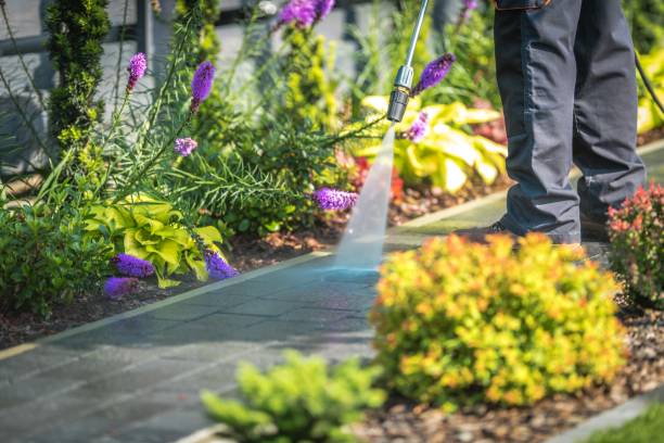 Best Gutter Cleaning  in Pine Beach, NJ